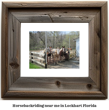 horseback riding near me in Lockhart, Florida